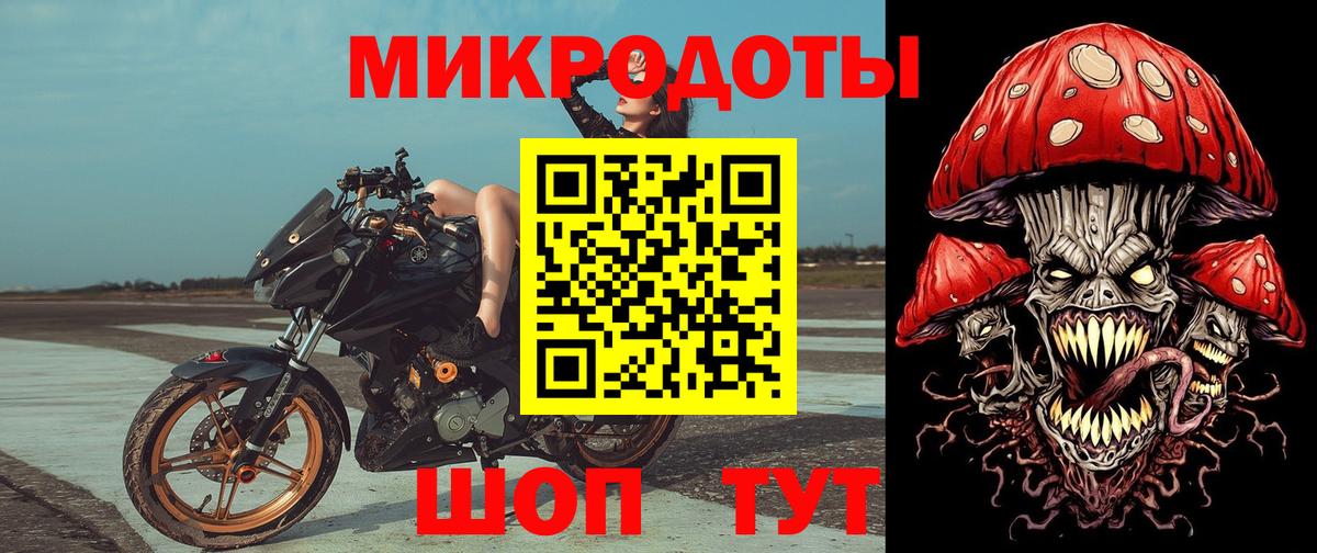 Галлюциногенные грибы Psilocybe Уссурийск