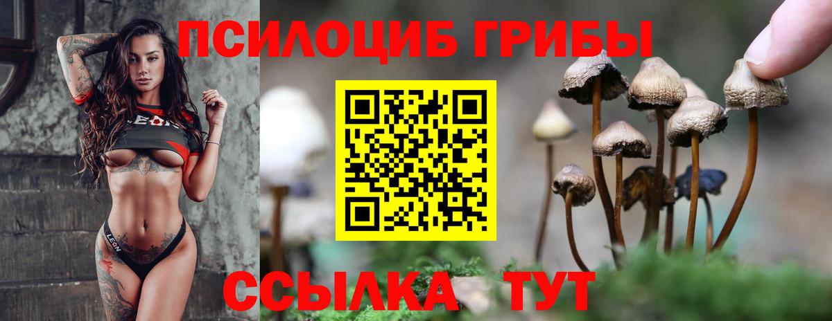 Псилоцибиновые грибы Magic Shrooms  Вход с VPN  Уссурийск 